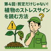 剪定だけじゃない！植物のストレスサインを読む方法「プロが教える「植物との付き合い方」④」