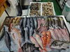 「📣本日のお魚情報🐟」