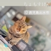 Instagram開設しました！