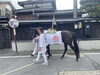 御神馬🐎✨「加藤組の村上大祭2025【村上市の総合建設業｜加藤組】」