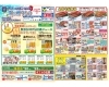 「🍊愛媛を贈ろう🍊夏ギフト🎐2025🎐」
