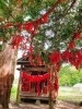 「＋ 恋結びの神社 ＋」