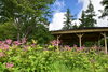 「夏の入笠山で、花と風と、ひとやすみ。」