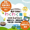 わくわく教室「🌻夏休み 親子ワクワク教室🌻」