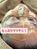 「健康肌を作るにはマツヤニパック！」