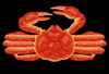 🦀「耐震等級3」と「耐震等級3相当」「「耐震等級3」と「耐震等級3相当」──その違い、ご存じですか？ 」