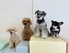 嵐ちゃん♡にこくん♡サクちゃん♡いずるくん「ましゅまろ幼稚園🐾」