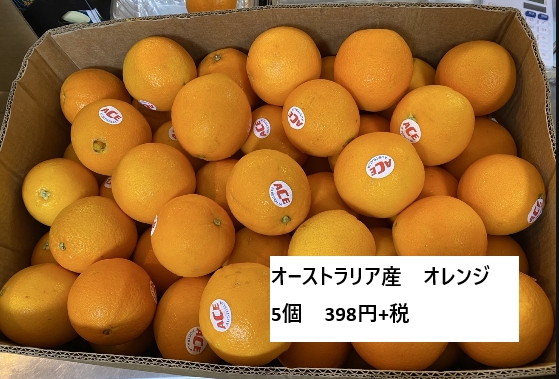 オレンジ5個 398円+税「ビタミンたっぷりの新鮮オレンジ😄 元気に夏を過ごしましょう☀️ 枚方ビオルネ地下1階 新鮮果実 日野屋」