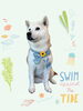 「Dog salon mofu mofu　余市町」