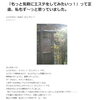 まいぷれ初投稿の写真（2005年）「カウントダウン20周年～あと231日～」