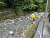 綺麗な小川「ひだち教室体験活動記Vol.62〜小川で遊ぶ〜」