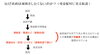 現金配付事業の利権構造の仮説「選挙に行こう！（5）」