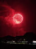 夏のおすそわけ「西大寺夏花火」