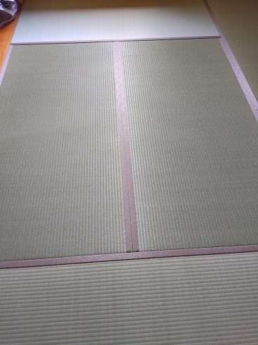 新畳「夏におすすめ!い草の香りでリラックスできる畳替えと快適お手入れ法」