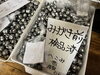 ダルマ削り「🌱今週の作業とディスカッションの様子」
