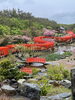 神社「＋ 千本鳥居 ＋」