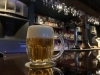世界一のビールPilsner Urquell「【参議院選挙投票キャンペーン企画】」