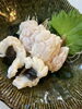 天草産はもの湯引き「土用の丑」