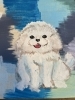絵を描く仕事「【在宅ワーク】ひきこもりだった方の“はたらく”第一歩　/小樽障害福祉事業所　らしくワーク」