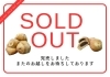 本日は完売しました。皆様ありがとうございます「【PANのMIMI】本日は完売しました。お越しくださった皆様どうもありがとうございま。」