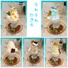 ❄️雪花冰 導入致しました。ふわふわかき氷「🍧【新作かき氷登場】練乳ミルク・宇治抹茶・カフェオレなど全5種!ふわふわミルク氷×選豪華トッピングで夏を満喫!」