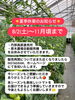 夏季休業のお知らせ「夏季休業のお知らせ！」