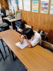 テスト中「📈📐 祝日返上の数学講座 🤔🔢　★英会話と体操のコラボ教室（堀切、お花茶屋、綾瀬、亀有、小菅）」