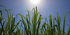 「7月22日【長嶋の今日の一言～日々是好日～】№1025」