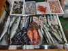 「📣本日のお魚情報🐟」
