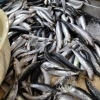 「今日は魚は少なめです😫」