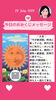 「京都・伏見の母がお届けする✨7月23日✨今日の占いメッセージ✨」