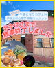 無事終了✨👏「【開催レポート】声紋分析心理学イベント in やまとなりカフェ☕」