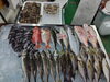 「📣本日のお魚情報🐟」