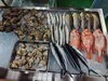 「📣本日のお魚情報🐟」