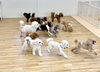 わ〜い💨「ましゅまろ幼稚園🐾」