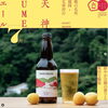 立ち喰い梅干し屋サイトニュース画像「【7月限定】東京ソラマチ「立ち喰い梅干し屋」にて天神UMEエール提供中！」