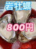 「岩牡蠣販売中‼️」