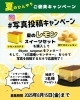 Instagramイベント「🍋✨夏のキャンペーン、 ドド〜ンと2つ開催します！🍋✨」
