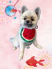 「Dog salon mofu mofu　余市町」