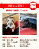 「【西条市】里親募集のお知らせ！」
