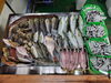 「📣本日入荷のお魚情報🐟」