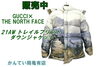 グッチ ノースフェイス トレイルダウンジャケット「【販売】争奪戦必至！GUCCI×ノースフェイス 21AW ダウンジャケット XL ベージュで最高の冬を。」
