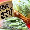 「🌽岡谷産 夏野菜コーナー🫛🥒🍅【信州・下諏訪町の老舗川魚専門店】」