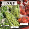 「🌽岡谷産 夏野菜コーナー🫛🥒🍅【信州・下諏訪町の老舗川魚専門店】」