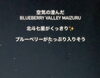 「空気の澄んだ Blueberry valley Maizuru🫐💫」