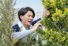 新居浜市　草刈り・芝刈り・防草処理サービス「お庭や敷地の草刈り、伐採、防草処理でお悩みの方は、激安草刈り伐採剪定キレイ新居浜店にお任せください！私たちは、新居浜市で信頼されるプロフェッショナルなサービスを提供し、お客様の大切な空間を美しく保つお手伝いをいたします。」