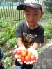 両手にいっぱい👐「🍅野菜の収穫🍅」