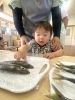 「八女市で保育園をお探しの保護者様へ　生き物触れ合い体験🦑🐟」