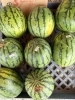 甘いスイカ!“マダーボール”「宮崎産のあまい小玉スイカ「マダーボール」🍉店頭にて販売中!」