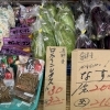地元の新鮮野菜や山菜がズラリ！市場で目利きの主人が買い付けた宮崎の旬を楽しもう🥦